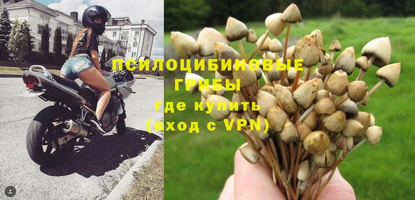прущие крисы Алексеевка