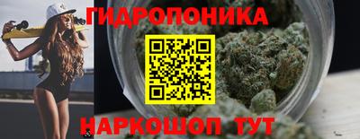 гашик Обнинск